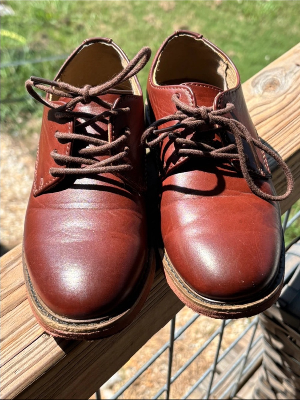 Deer Stags Youth Dress Oxfords in Chestnut Brown